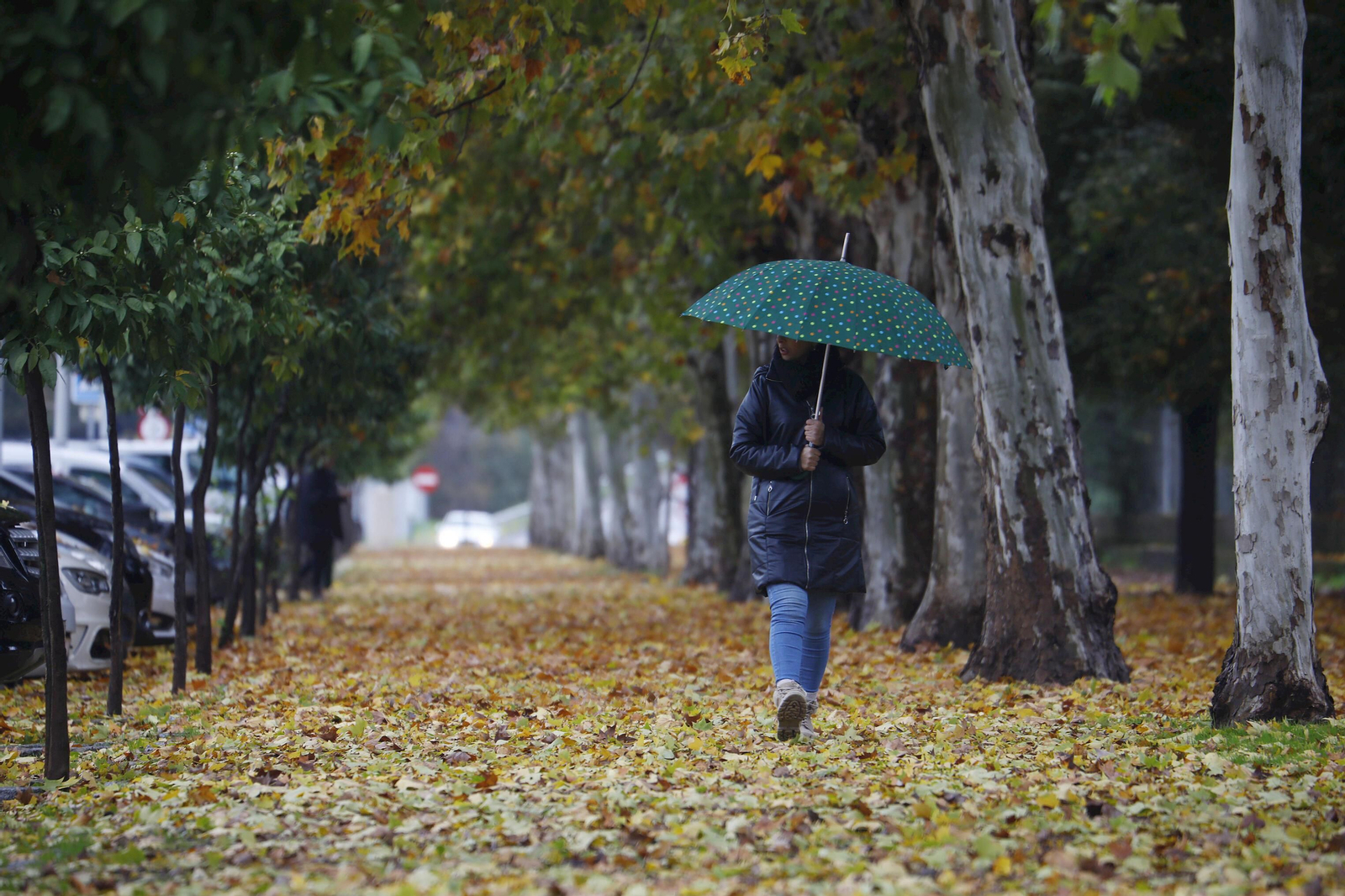 Una mujer se protege con un paraguas de la lluvia mientras pasea por un parque de Córdoba.