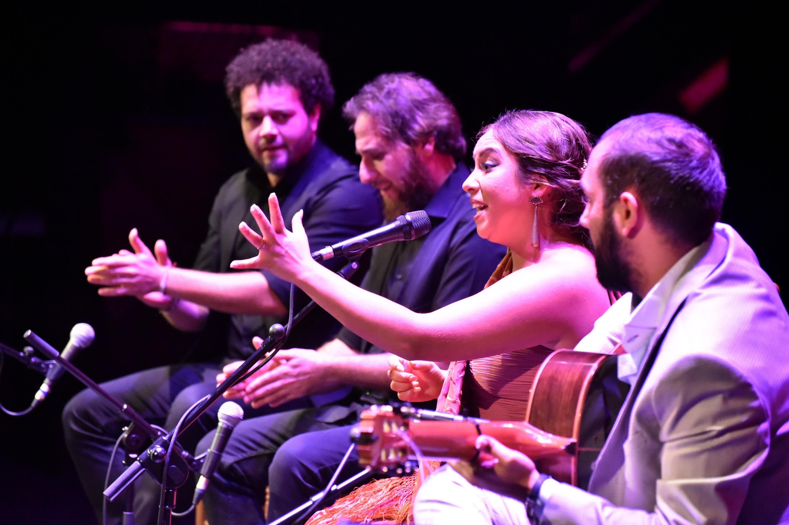 II BIENAL FLAMENCO CANELA DE SAN ROQUE