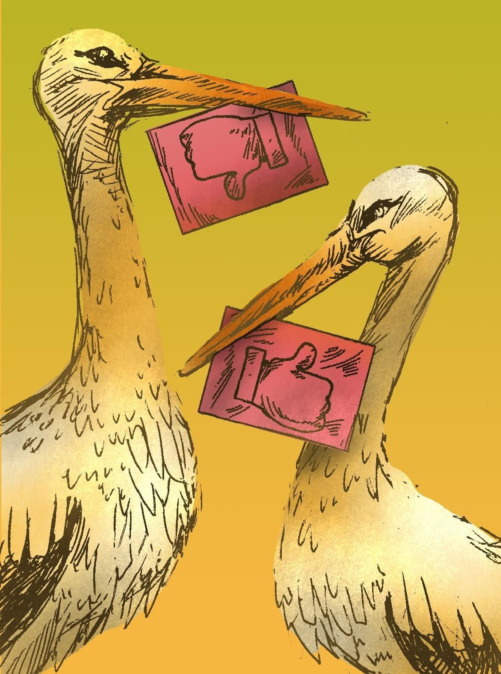 Un problema o una injusticia