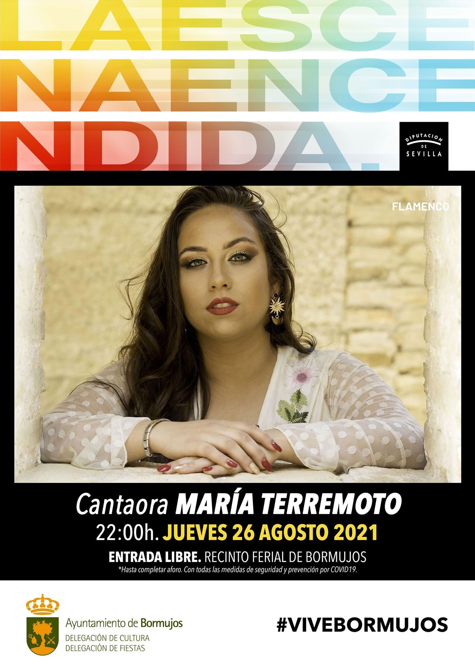 Cartel del concierto de María Terremoto.