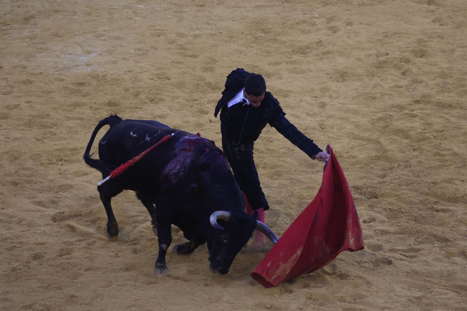Fotos de la corrida de toros de la Feria de San Roque con David Galván, Román y Joaquín Galdós