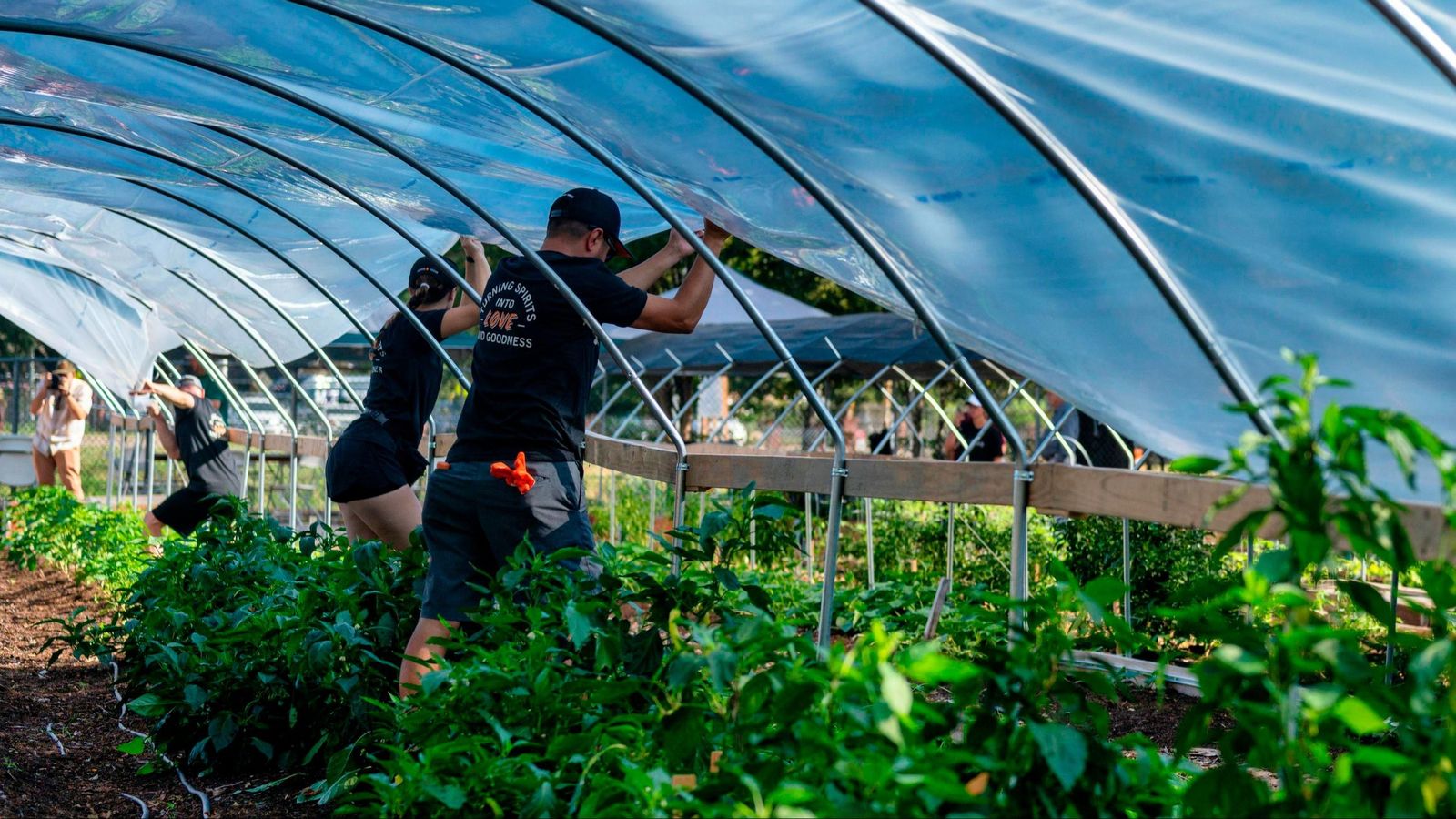 Un estudio analiza el impacto de la exposición a pesticidas en agricultores