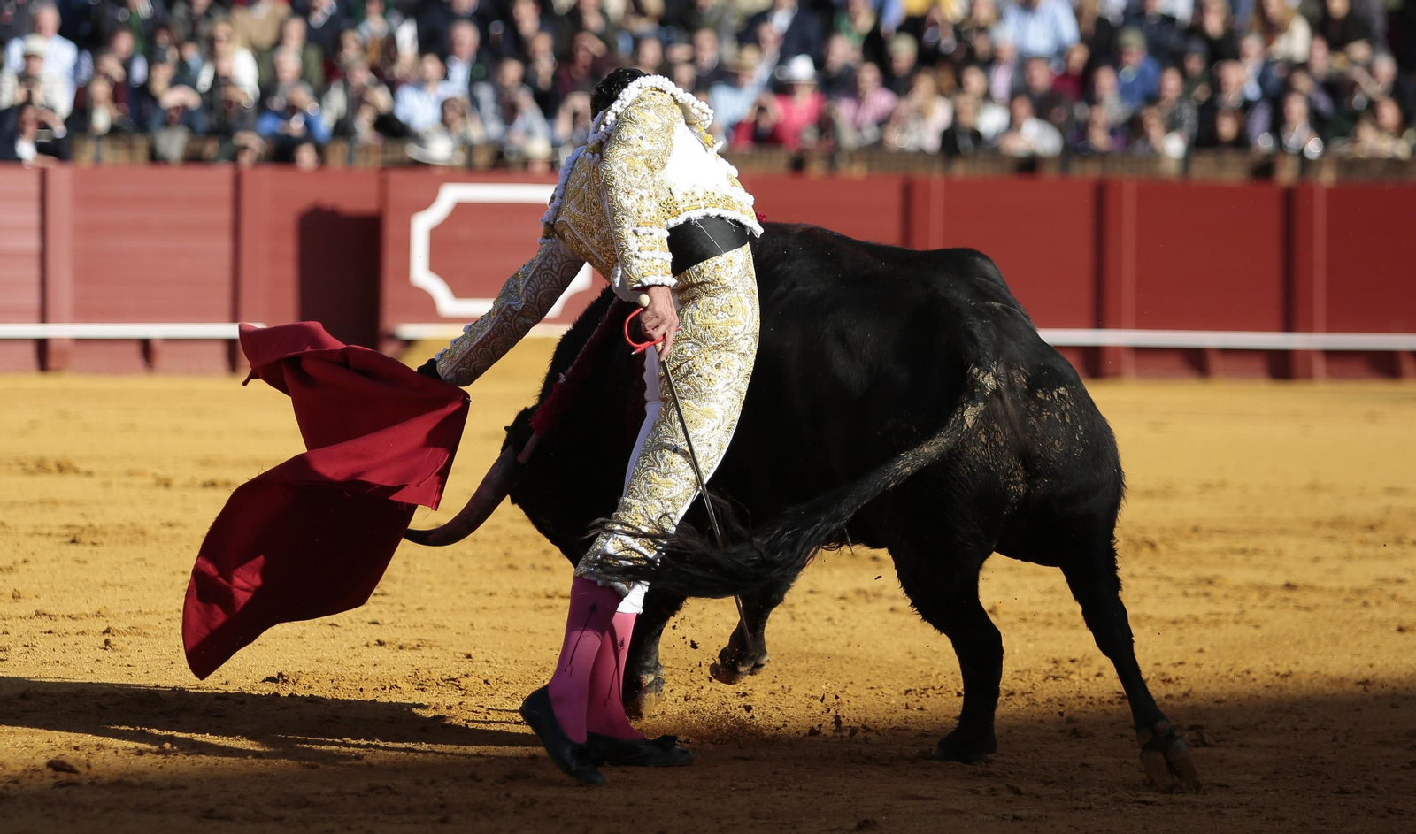 Alejandro Talavante.