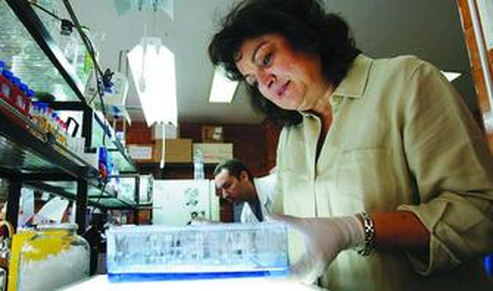 La catedrática de Biología Molecular y Bioquímica Francisca Sánchez dirige el grupo 'Bases moleculares de la proliferación celular'.