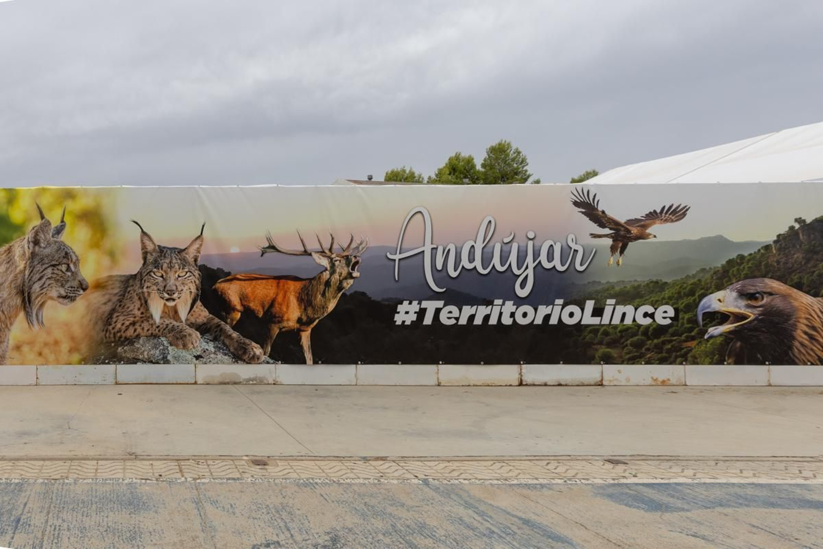 Feria y fiestas en honor a San Eufrasio, Andújar, en imágenes