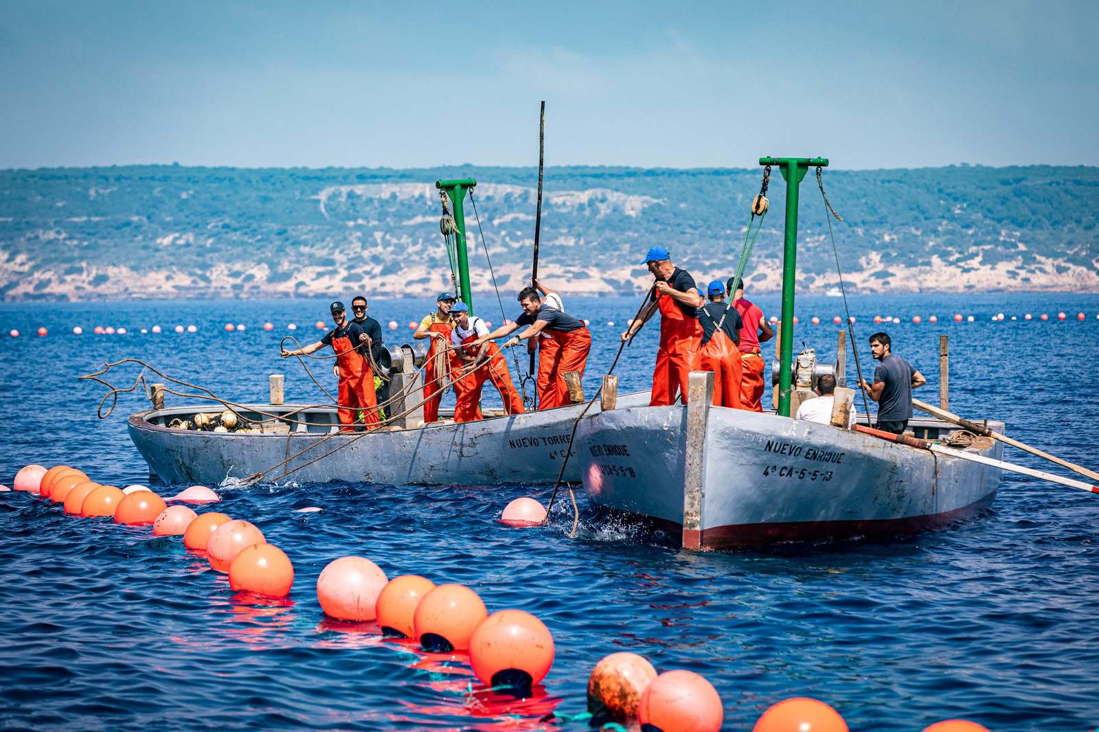 Las imágenes de la primera levantá en la almadraba de Barbate