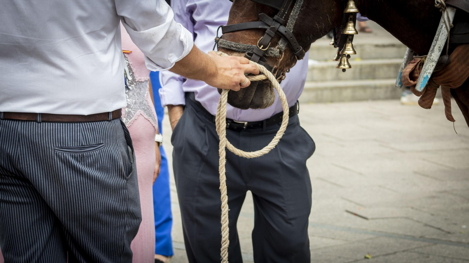 Romería del Rocío: las imágenes de la salida de la hermandad de San Fernando