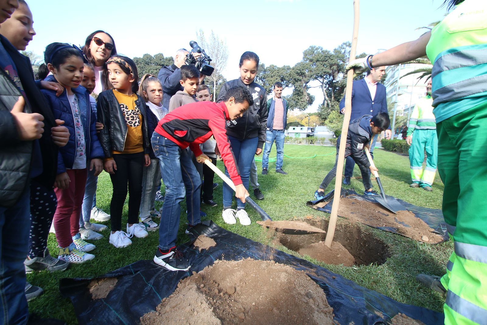 Imágenes del Día Mundial del Árbol