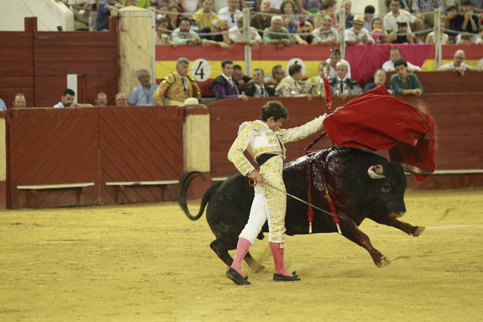 Imágenes del triunfo del torero almeriense Jorge Martínez el día de su alternativa