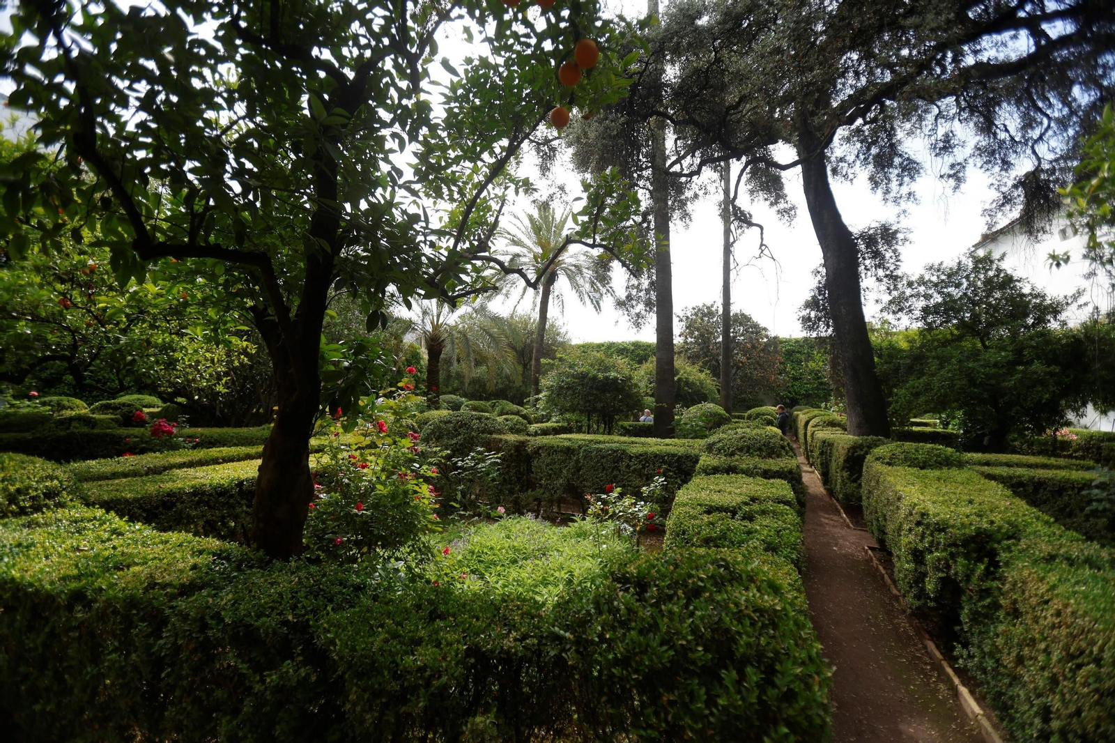 Los Patios del Palacio de Viana, en imágenes