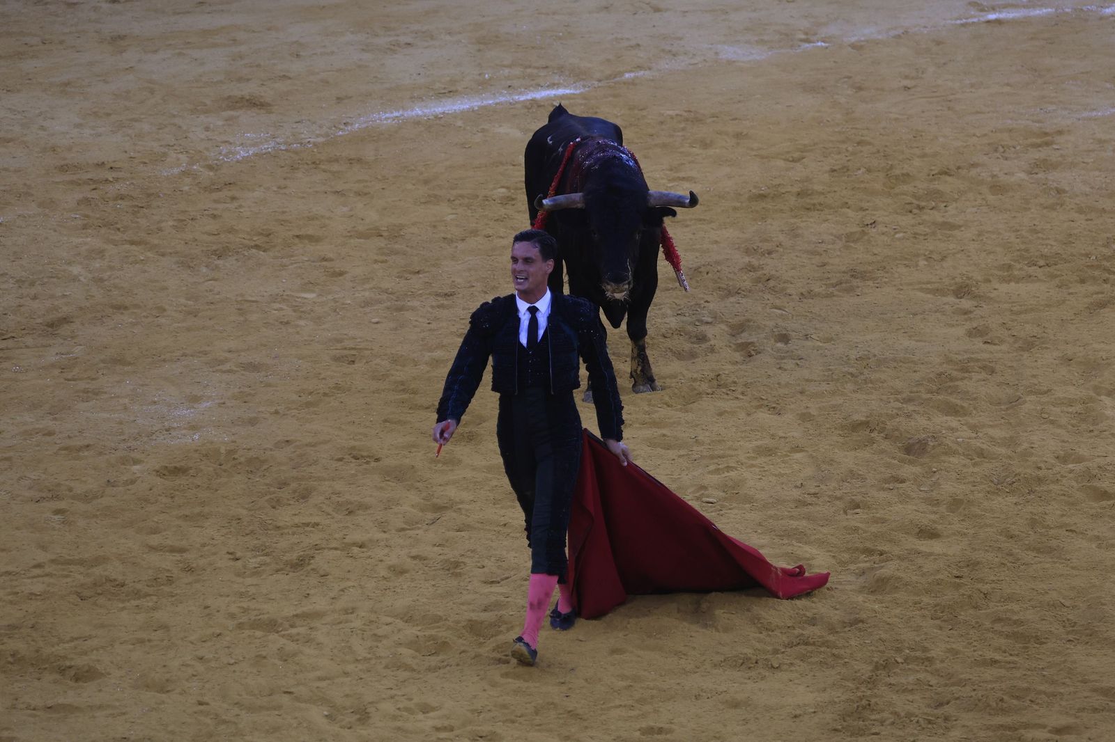Fotos de la corrida de toros de la Feria de San Roque con David Galván, Román y Joaquín Galdós