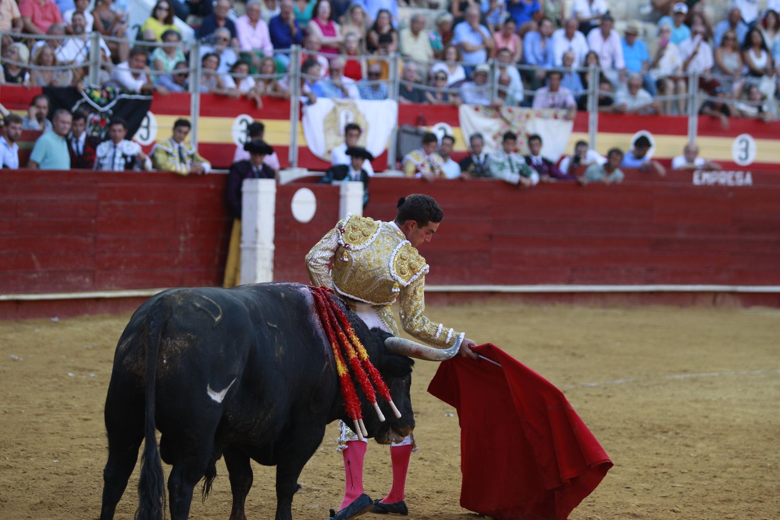 Imágenes de la corrida de toros del jueves en la Feria de Almería 2024