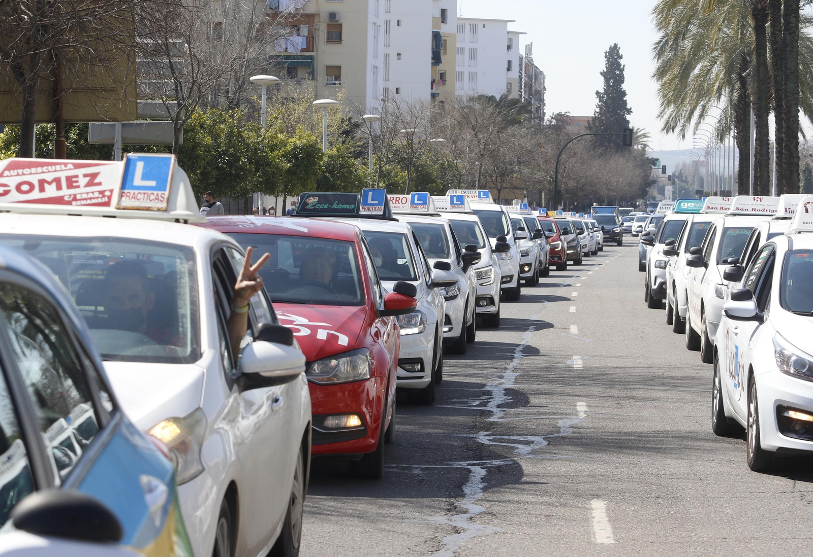 Así ha sido la protesta de las autoescuelas de Córdoba por la implantación del sistema CAPA Así ha sido la protesta de las autoescuelas de Córdoba por la implantación del sistema CAPA