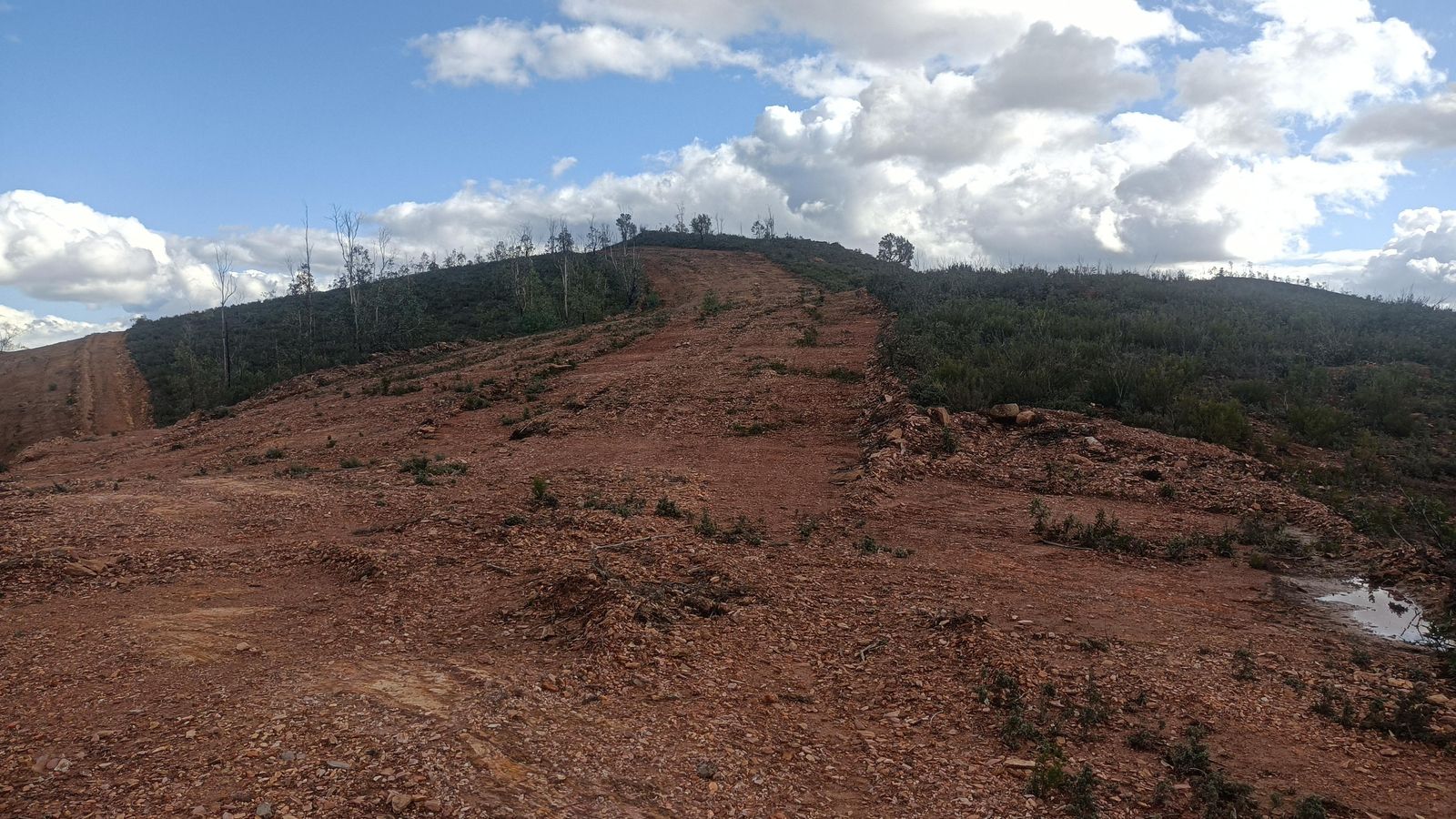 En la parte alta, seguimos el cortafuegos.