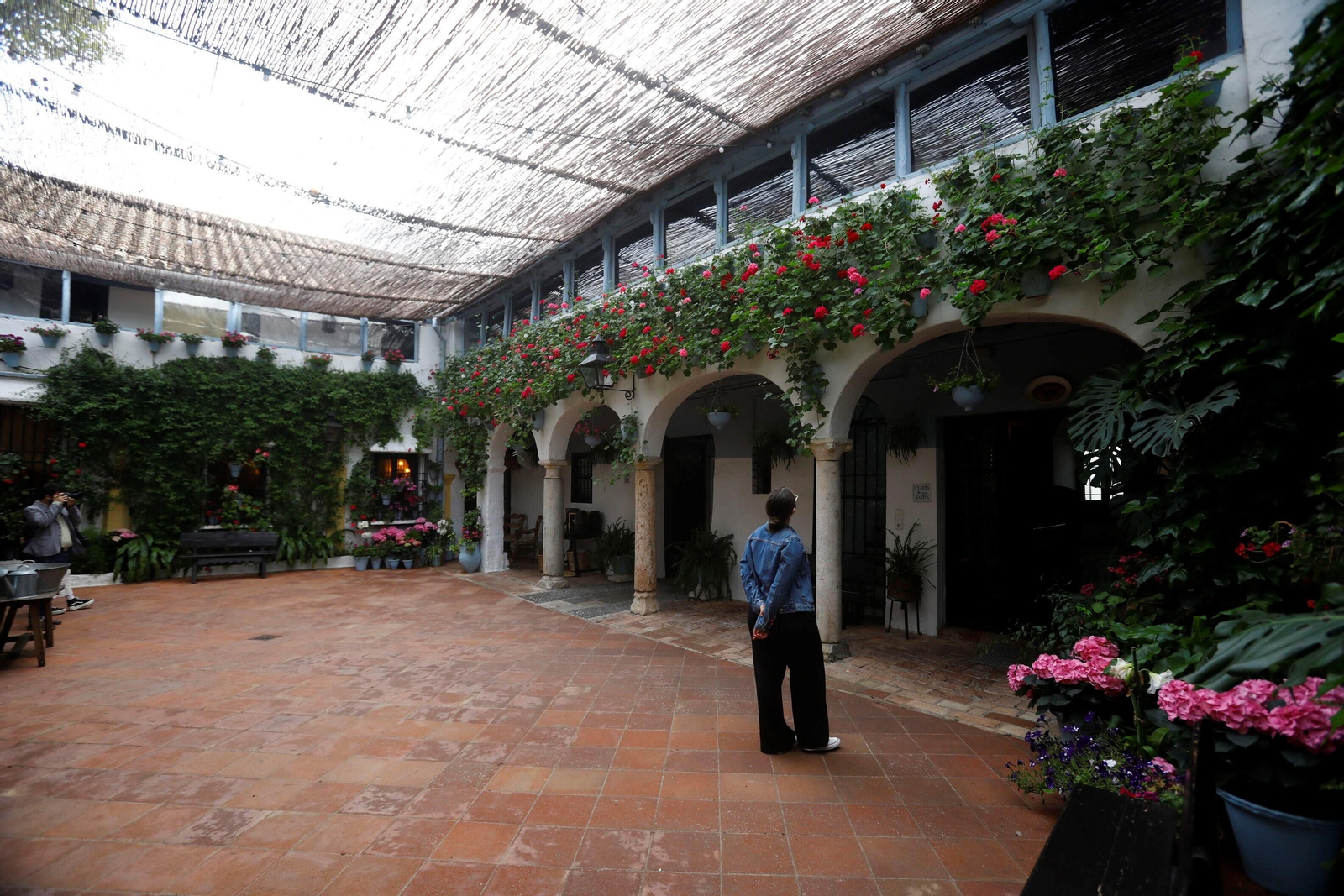 Los patios de Córdoba de la ruta Judería-San Francisco, en imágenes