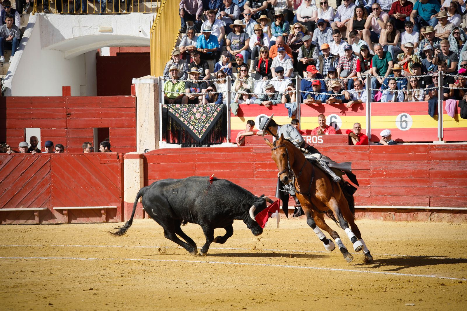 Imágenes del festival mixto lucha contra el cáncer