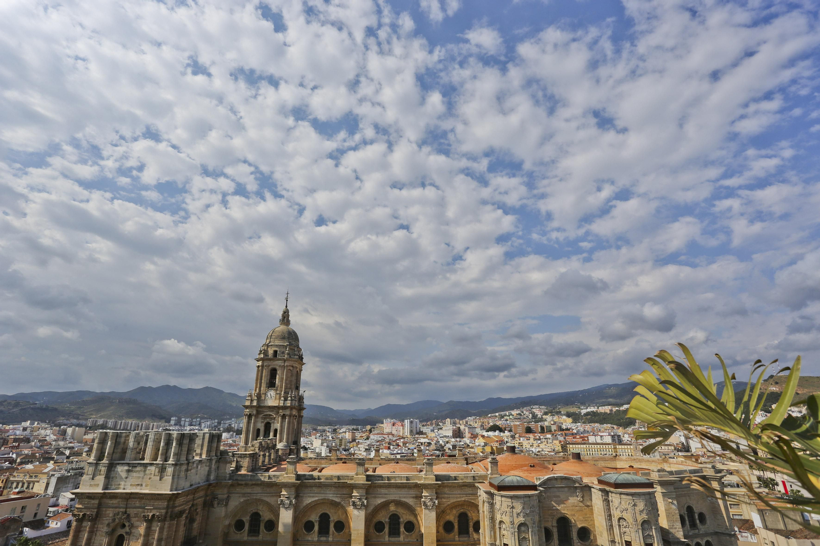 La Catedral de Málaga.