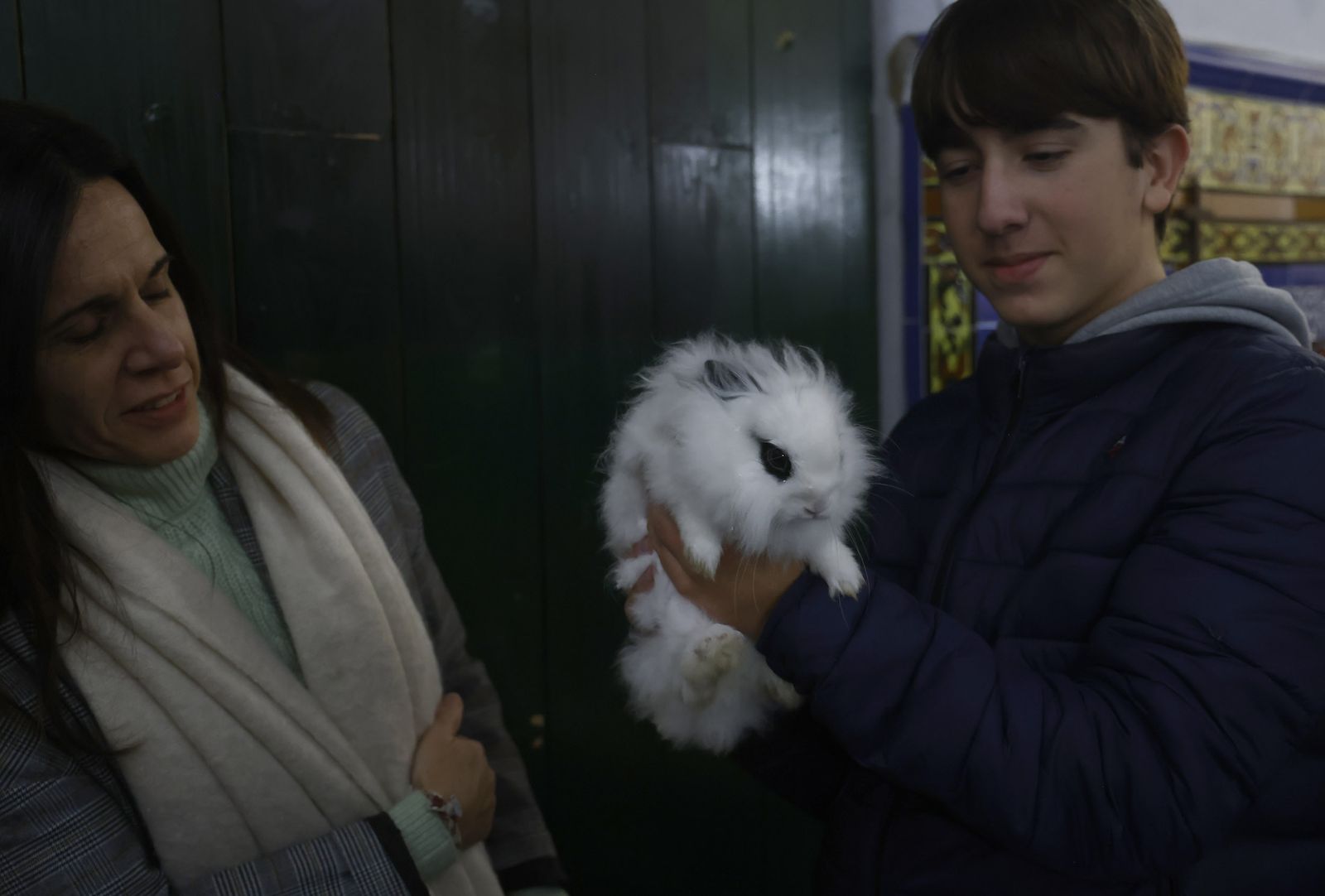 Bendición de animales por San Antón en la Divina Pastora, todas las fotos