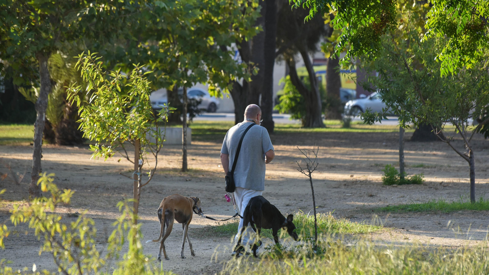 Un día en el Parque Princesa Sofía en La Línea