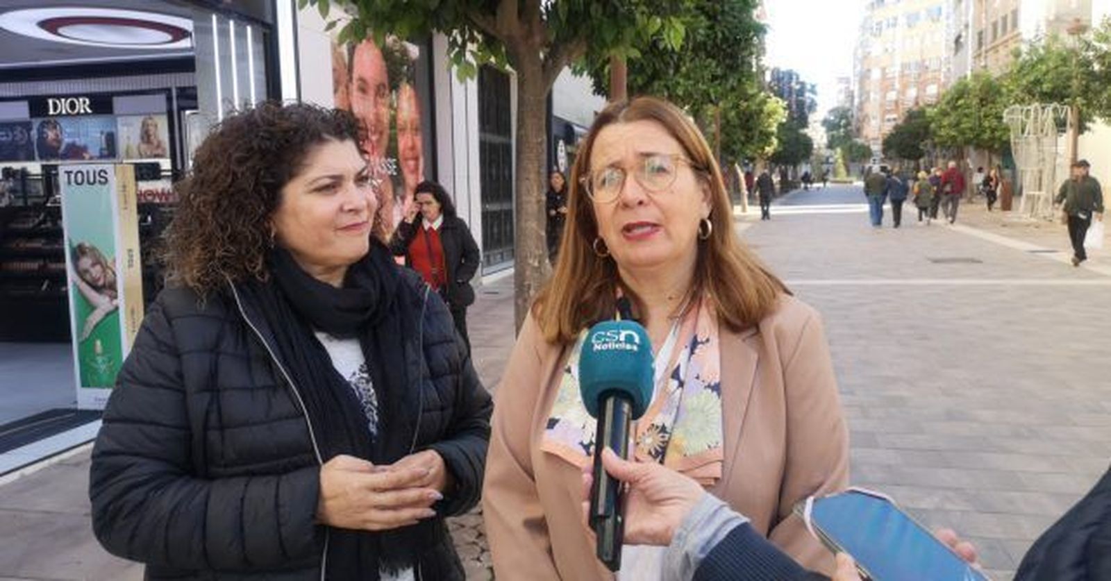 La diputada provincial del PSOE Rosa Tirador .