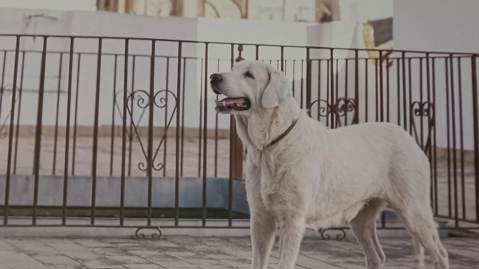 Una de las imágenes del calendario.