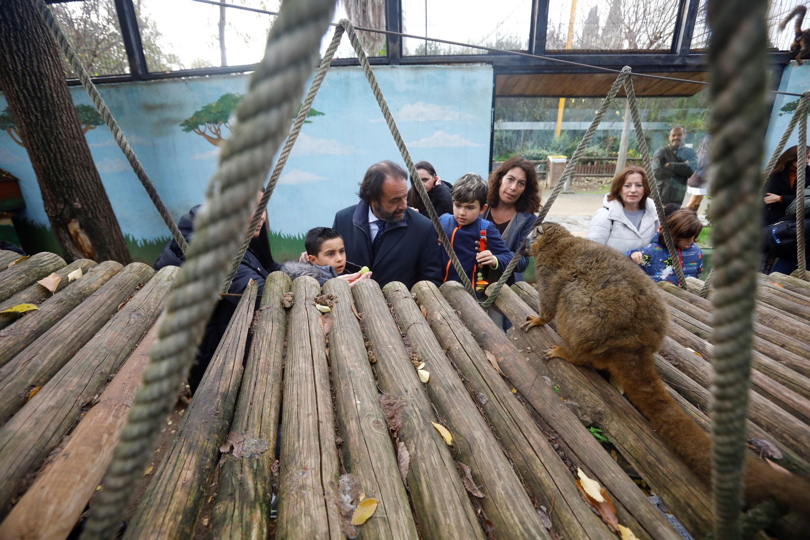 Así son las Aulas Específicas del Zoo de Córdoba en las que niños interactúan con lemures, en imágenes
