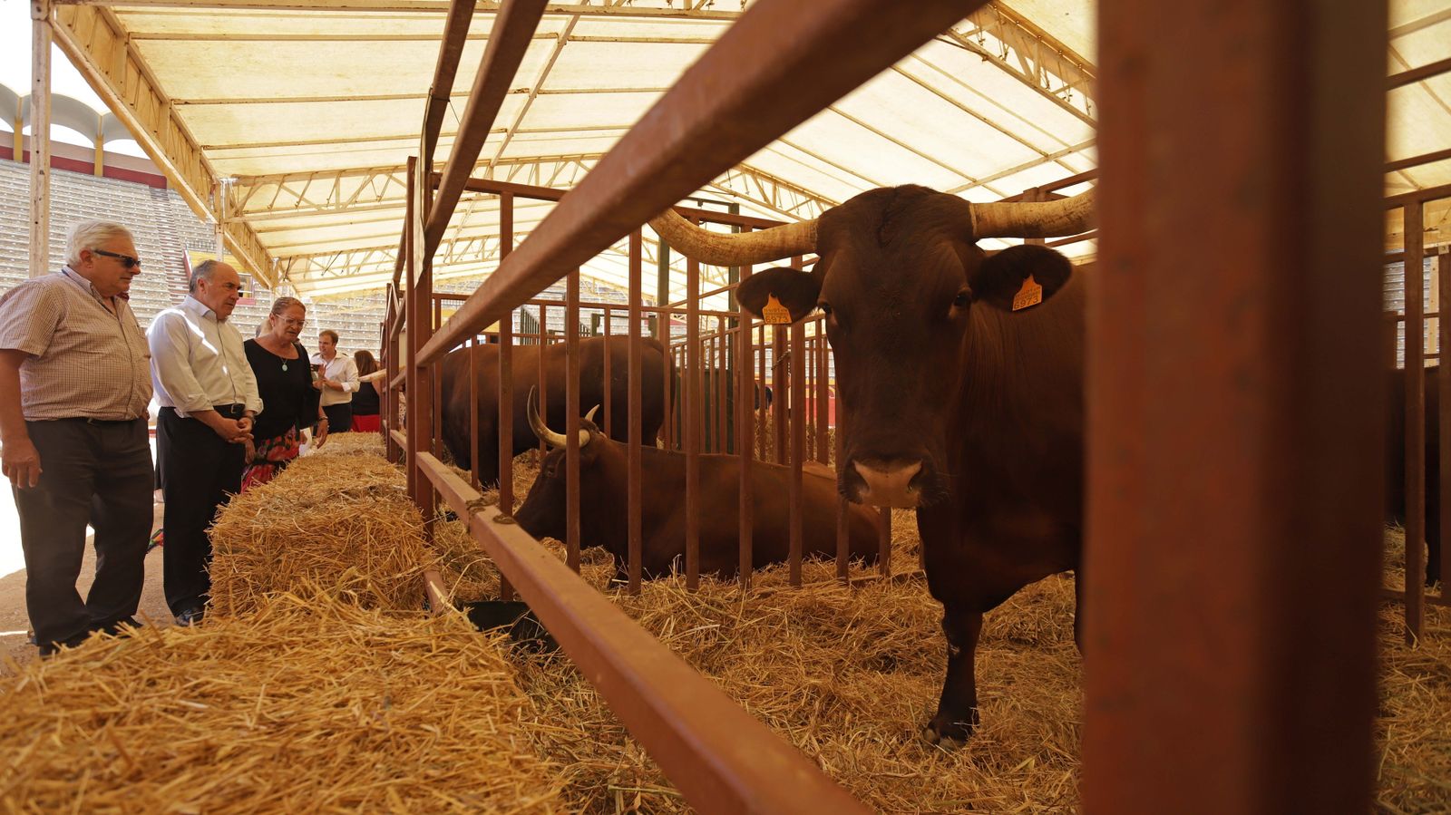 La inauguración de la 171 Feria del Ganado de Algeciras.