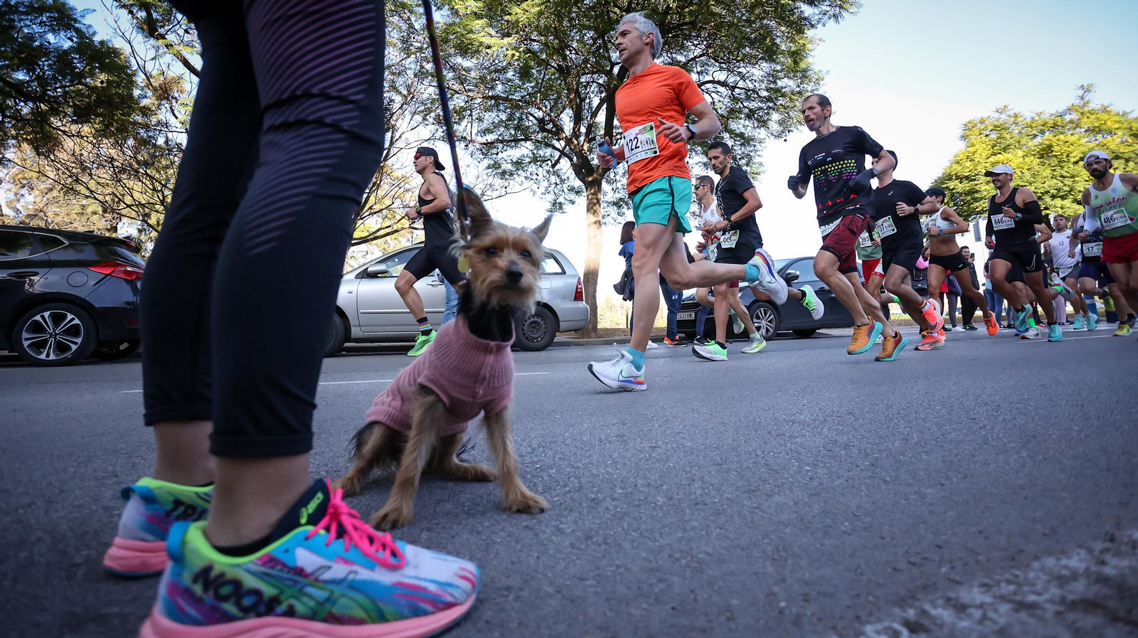 Búscate en la XXVI Media Maratón Ciudad de Jerez