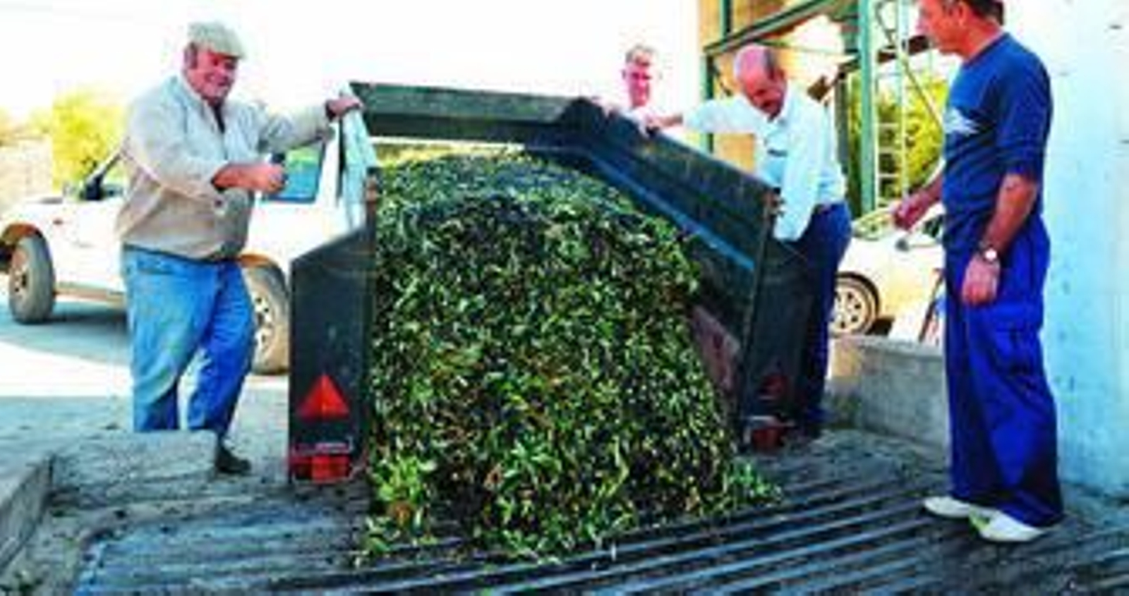 Clientes de la almazara del Manzanillo descargando sus aceitunas.