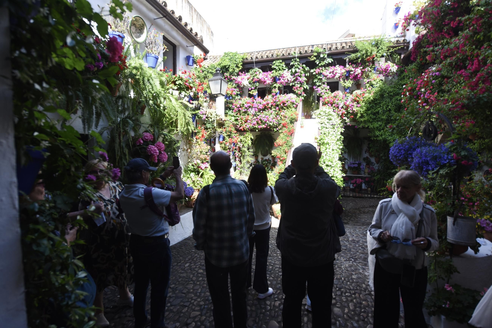 Los Patios de Córdoba de la Ruta del Alcázar Viejo, en imágenes
