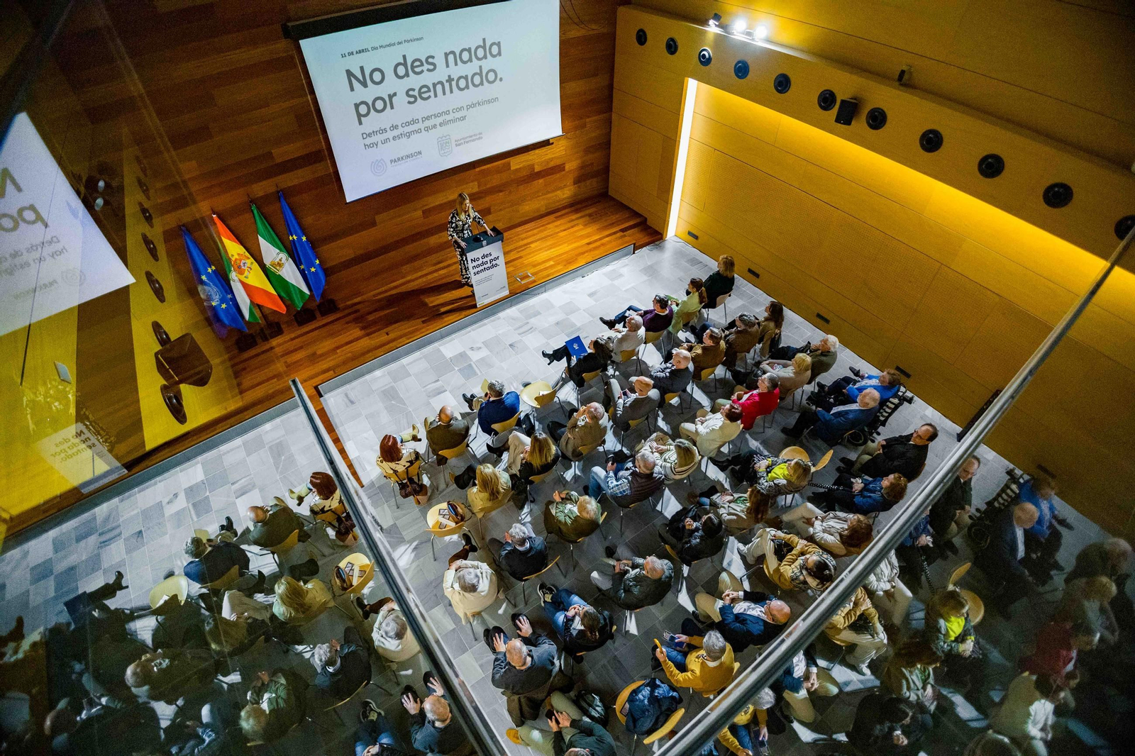 Acto institucional celebrado en el Ayuntamiento de San Fernando con motivo del Día Mundial del Parkinson.