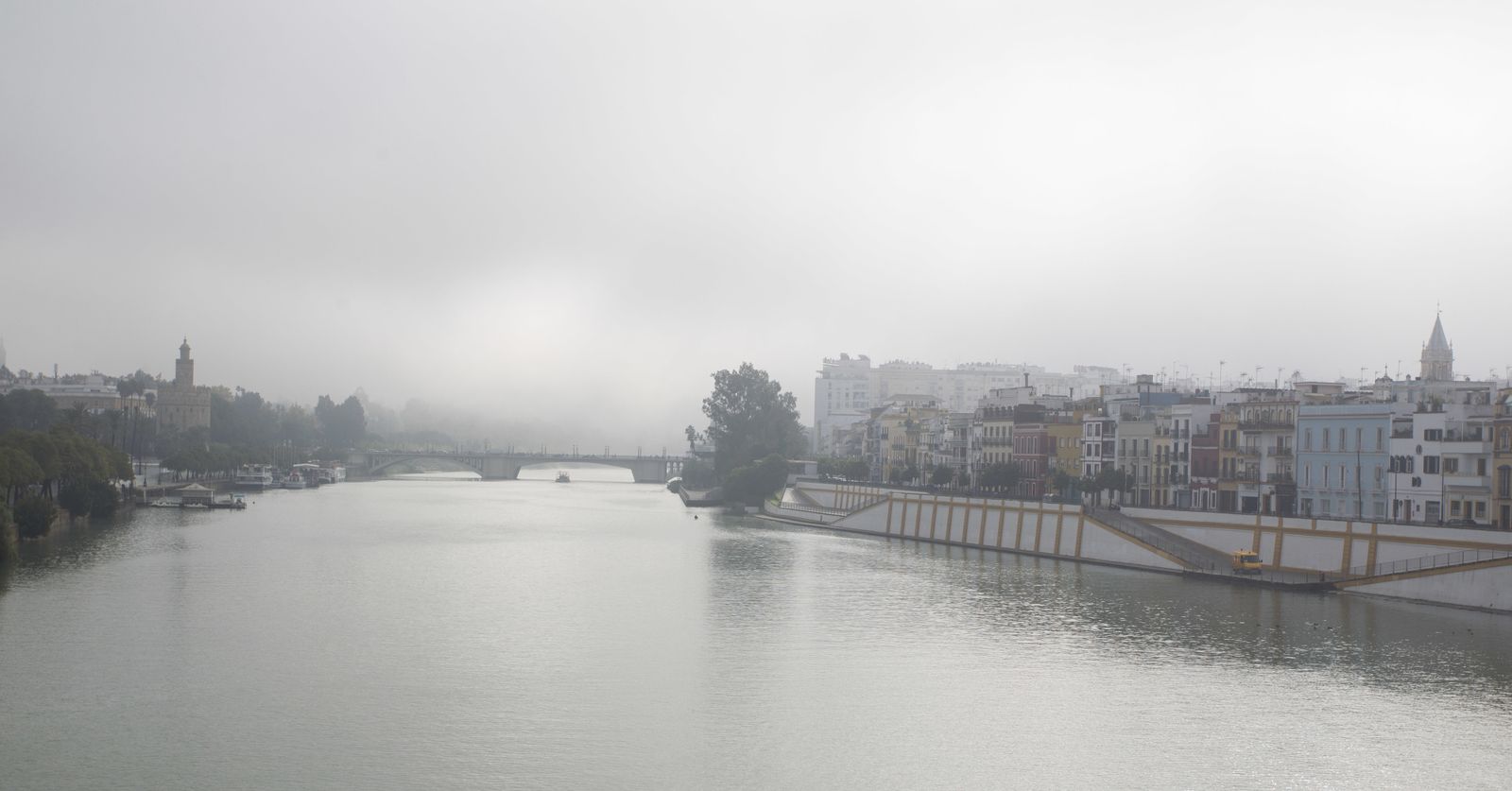 Mañana con niebla en Sevilla