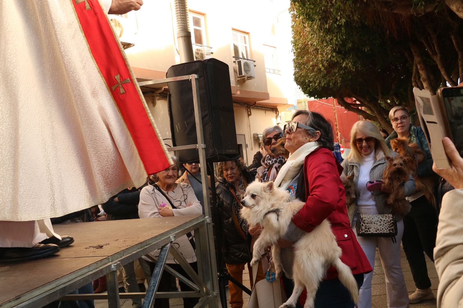Así ha sido la bendición de las mascotas y la subasta de 'rabicos' en el casco histórico de Almería
