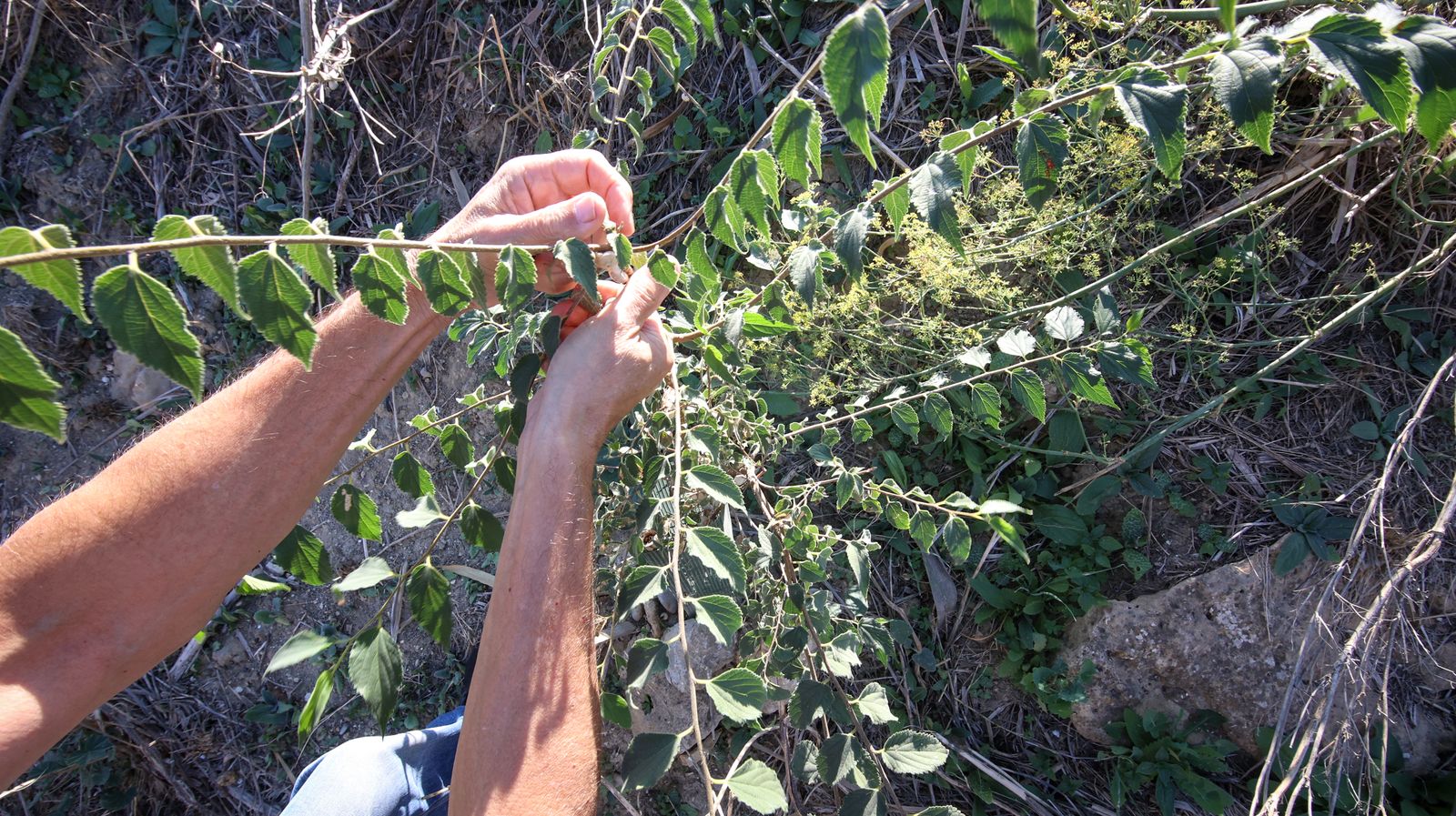 Abandono del río Guadalete a su paso por Jerez