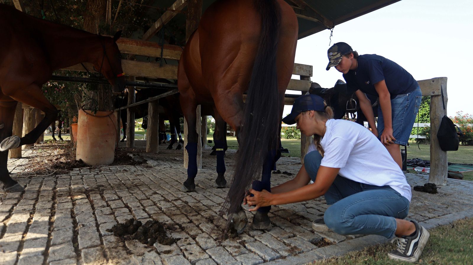 El polo desde dentro