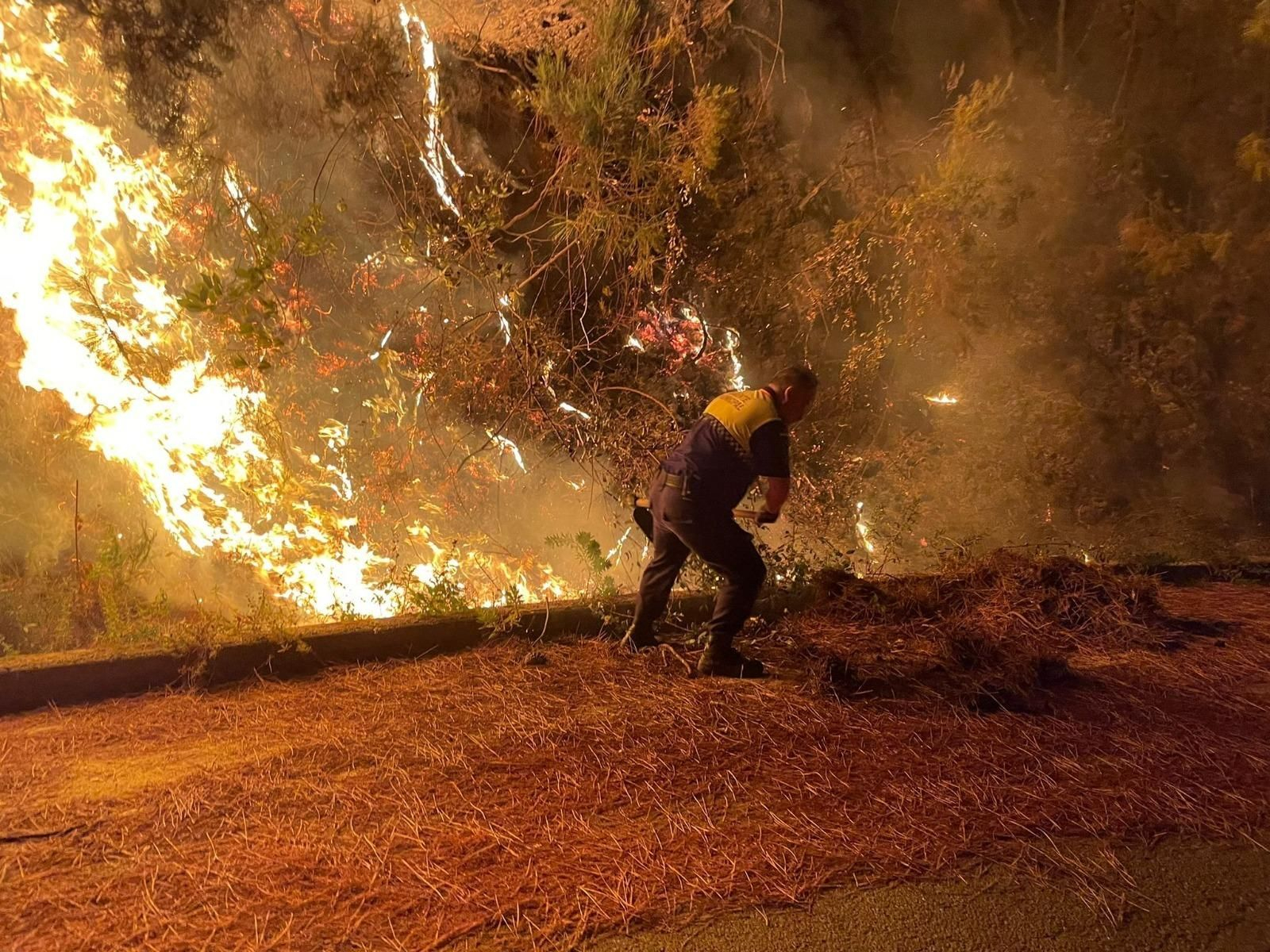 Las fotos del incendio que afecta a Jubrique, Genalguacil y Estepona