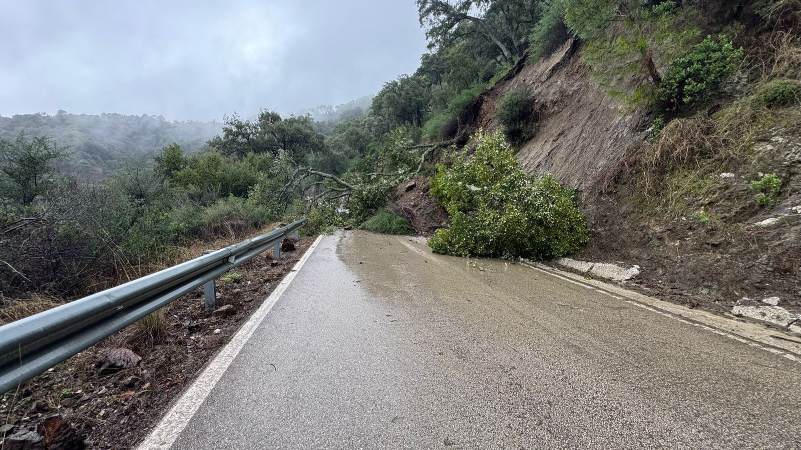 Desprendimientos en la carretera entre Genalguacil y Estepona.