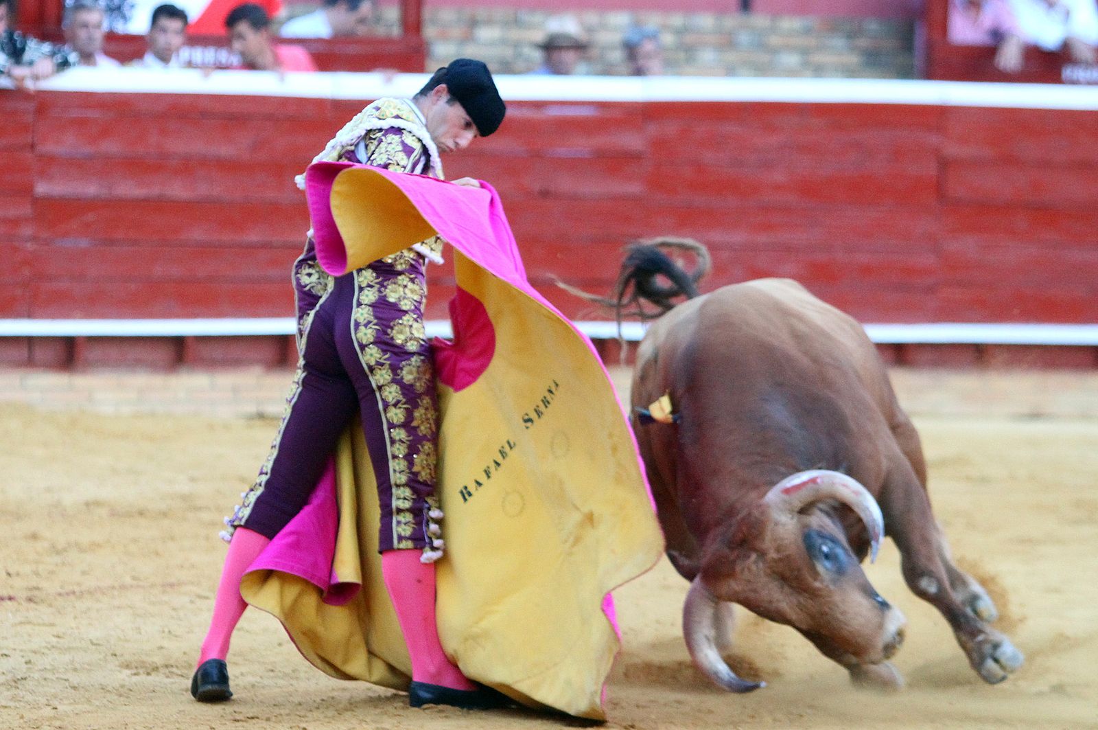 Imágenes de la Novillada de Rafael Serna, Emilio Silvera y Rodrigo Molina.