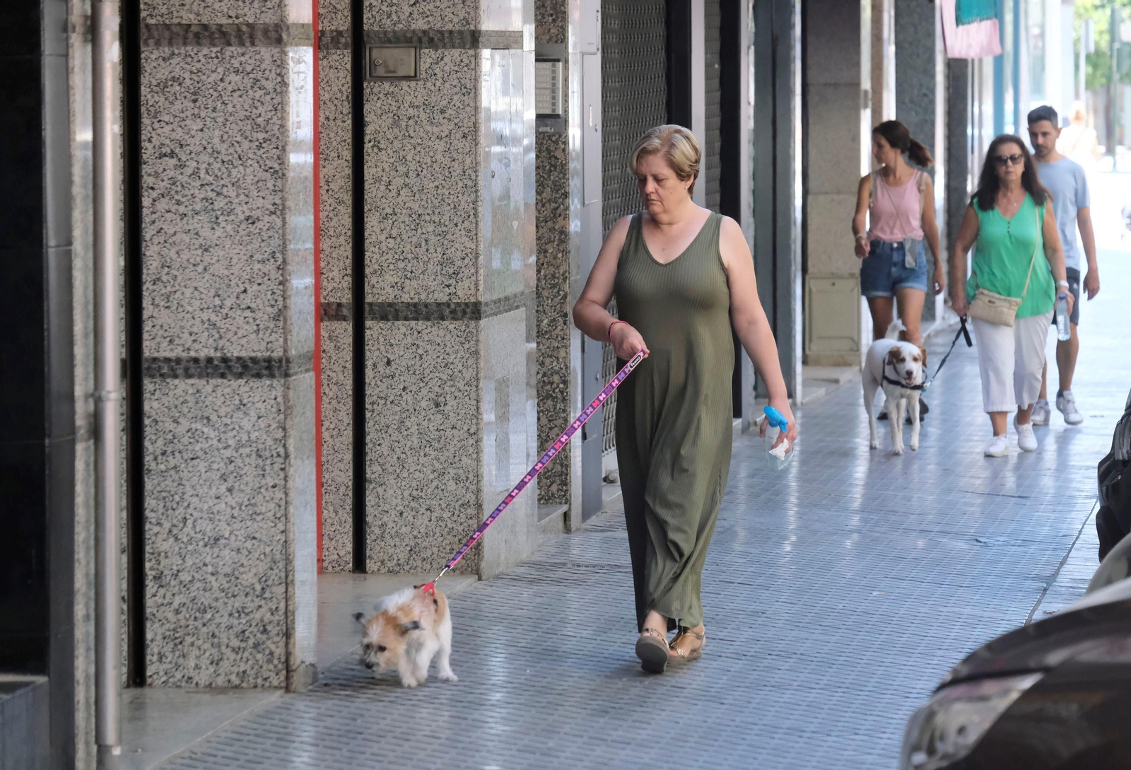 Un día de agosto en el barrio de la Viñuela de Córdoba, en imágenes