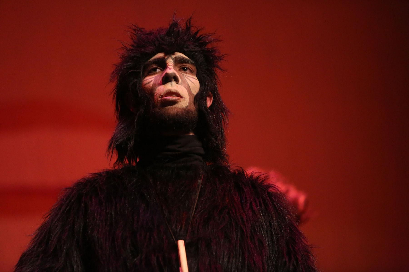 Cuarto día de preliminares del Carnaval Colombino en imágenes