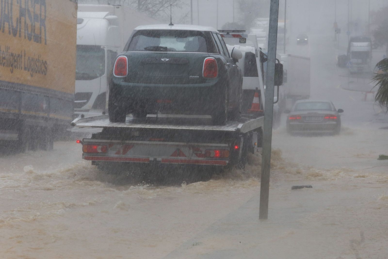 Fotografías de árboles caídos e inundaciones por la borrasca Leonardo