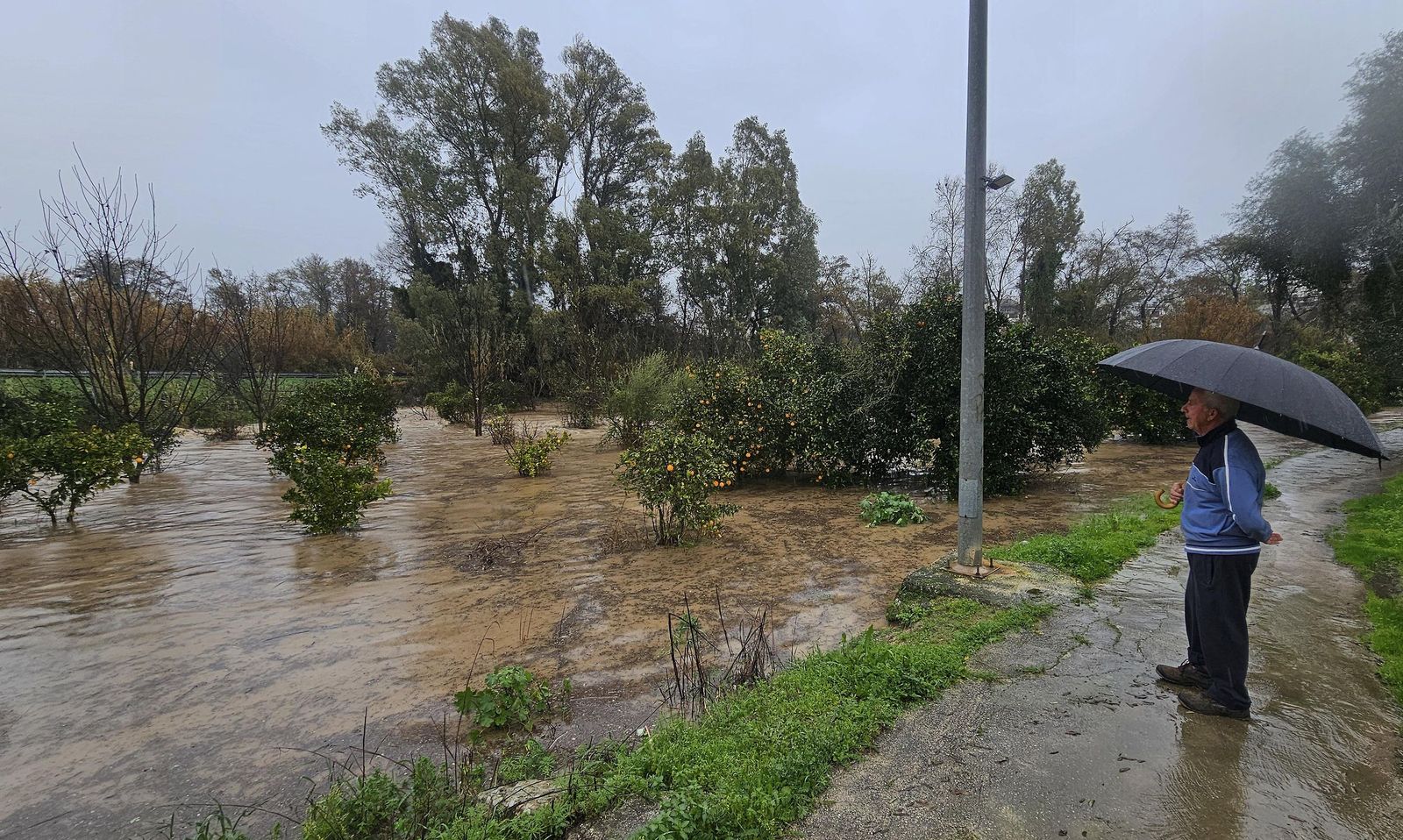 Fotos del temporal de lluvia y viento por la borrasca Kristin en Jimena de la Frontera, San Pablo de Buceite y San Martín del Tesorillo