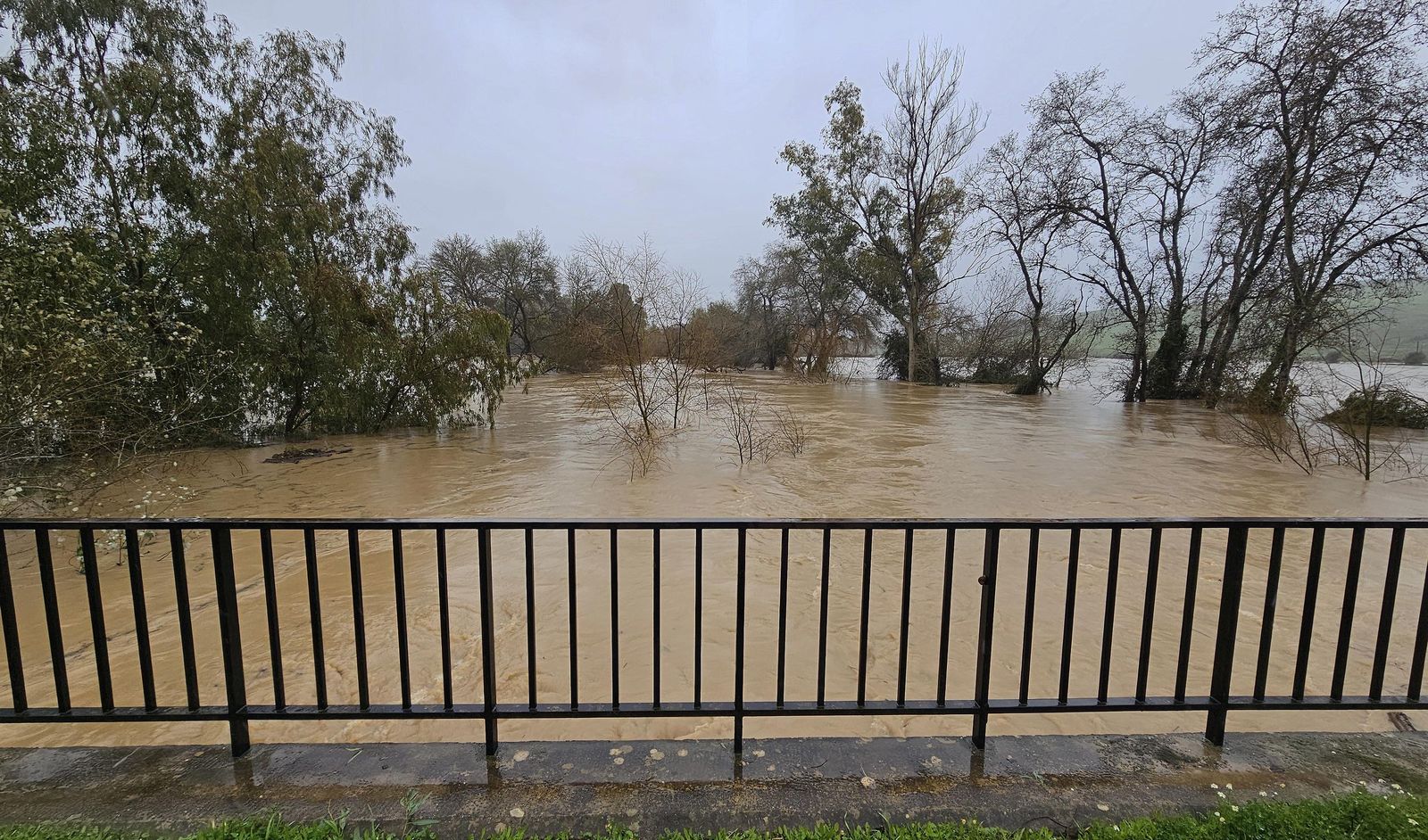 Fotos del temporal de lluvia y viento por la borrasca Kristin en Jimena de la Frontera, San Pablo de Buceite y San Martín del Tesorillo