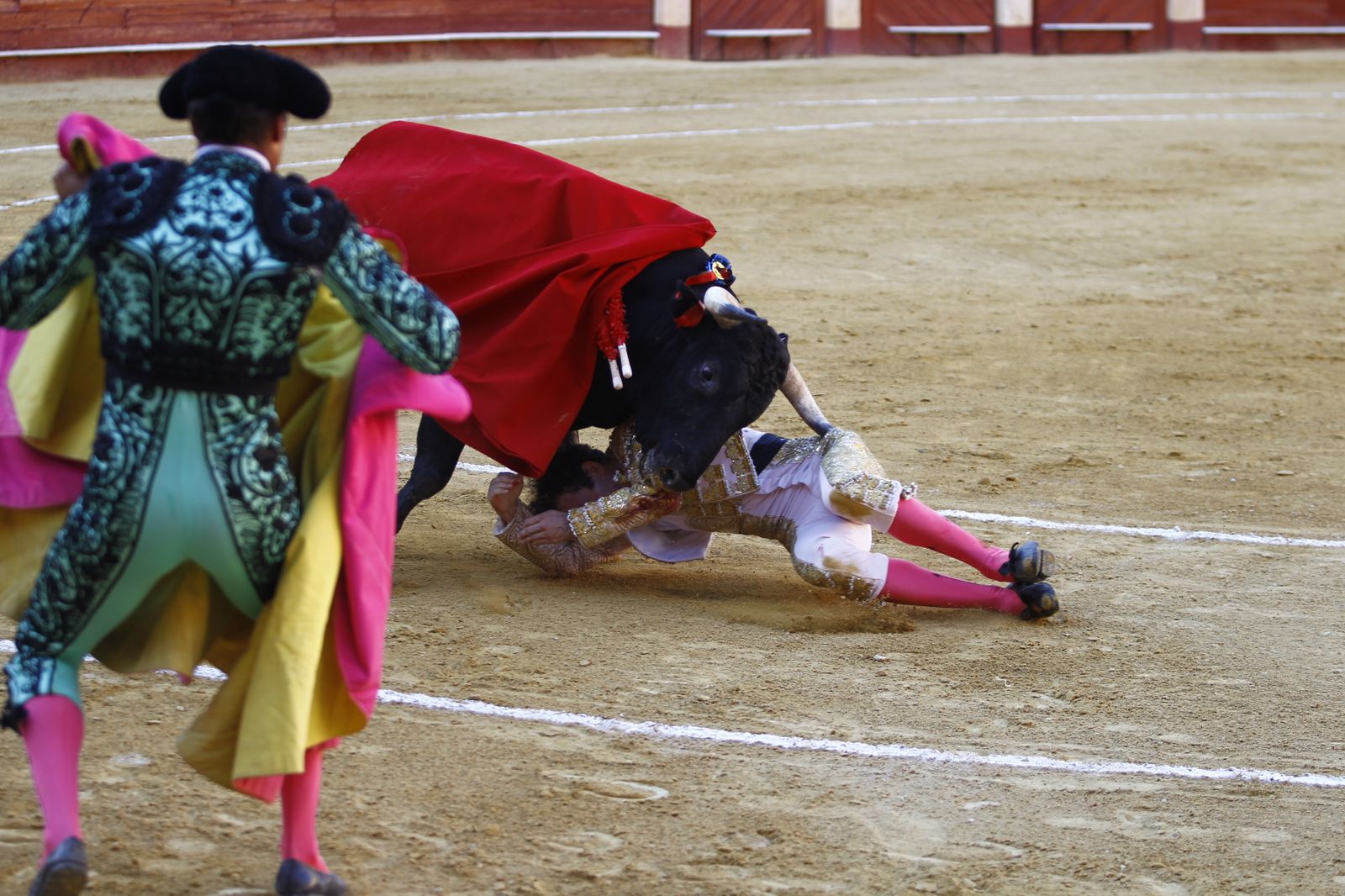 Fotogalería de la novillada de la Feria Taurina de Almería 2022