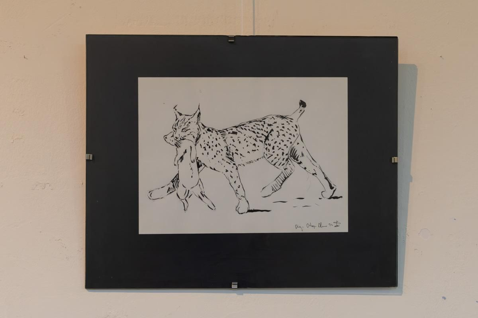 Exposición Los pinceles del lince ibérico, en imágenes