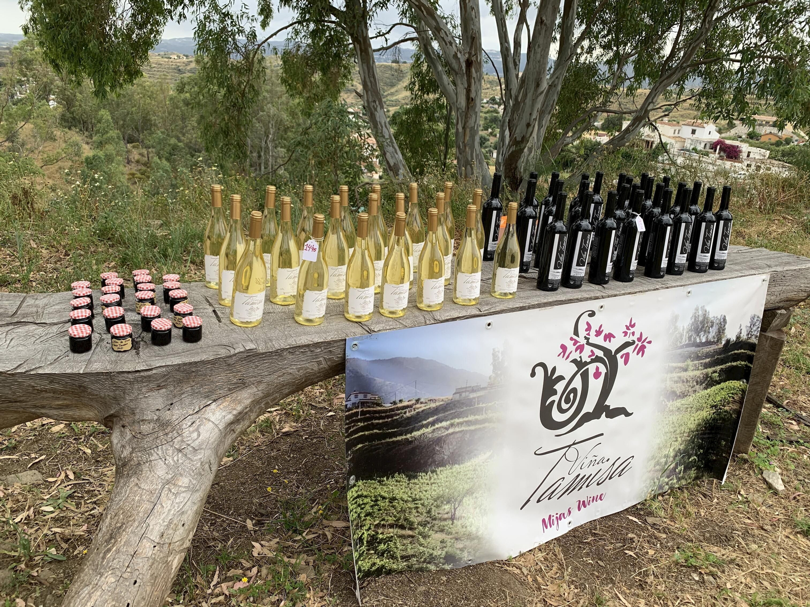Vinos Viña Tamisa producidos por las Bodegas Hermanas López Lavado.