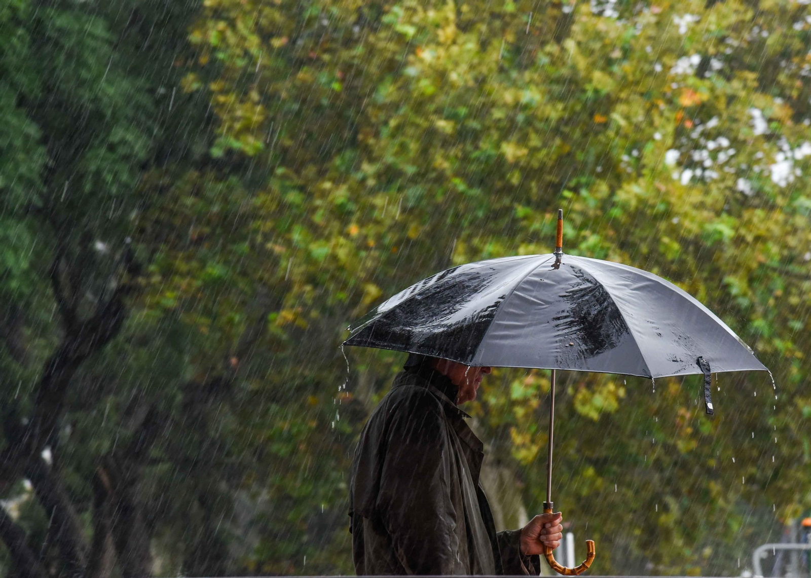 El paso de la Borrasca Claudia por Sevilla el pasado 14 de noviembre. El paso de la Borrasca Claudia por Sevilla el pasado 14 de noviembre.