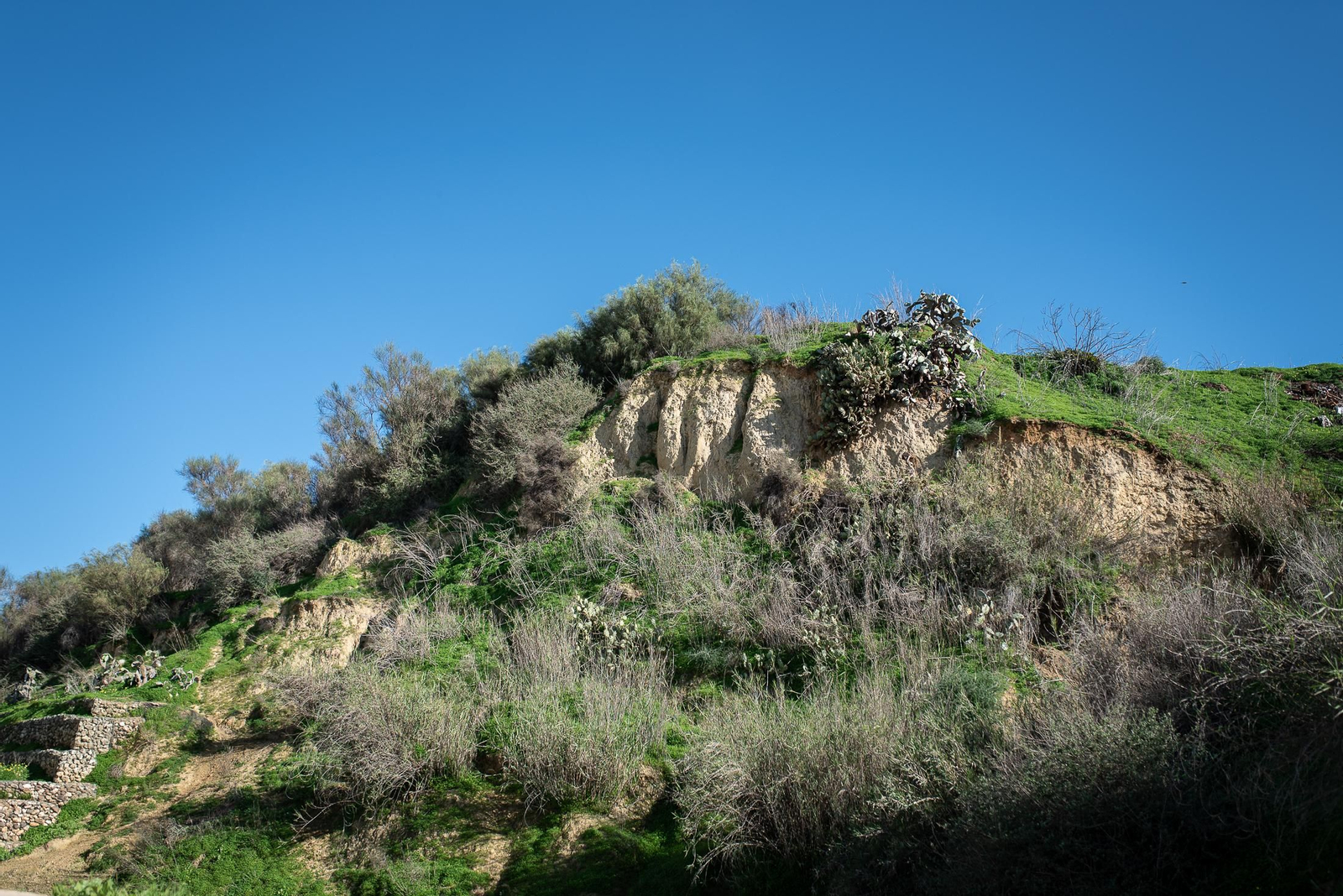 Huelva barrio a barrio: Las Colonias