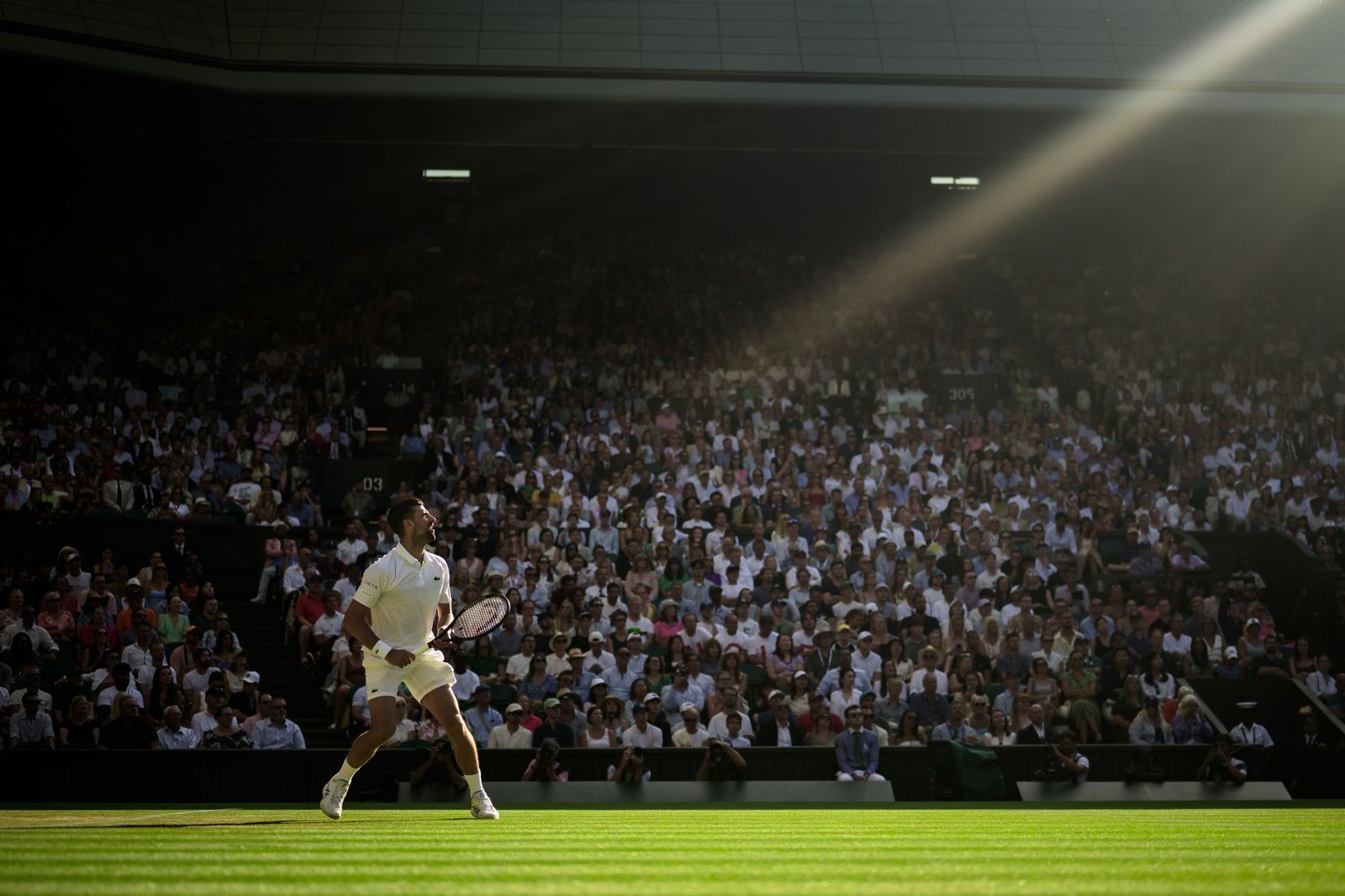 Tenis | All Light On Djokovic