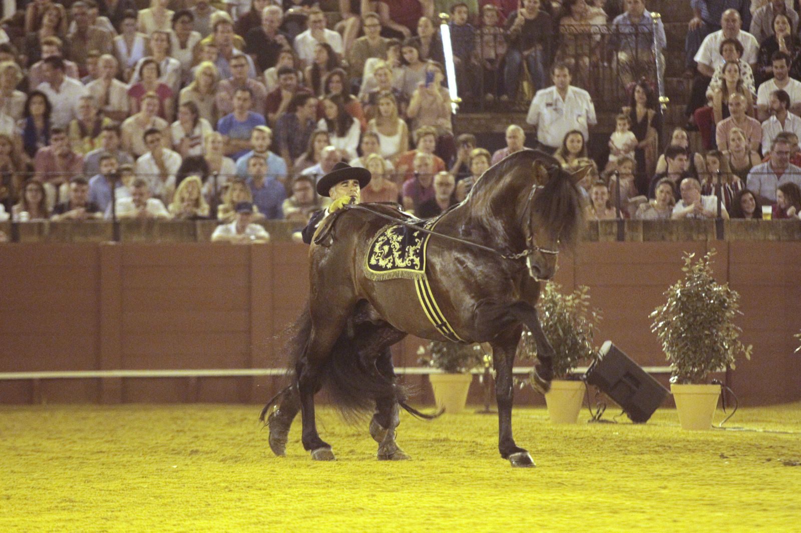 El espectáculo 'Cómo bailan los caballos andaluces', en imágenes